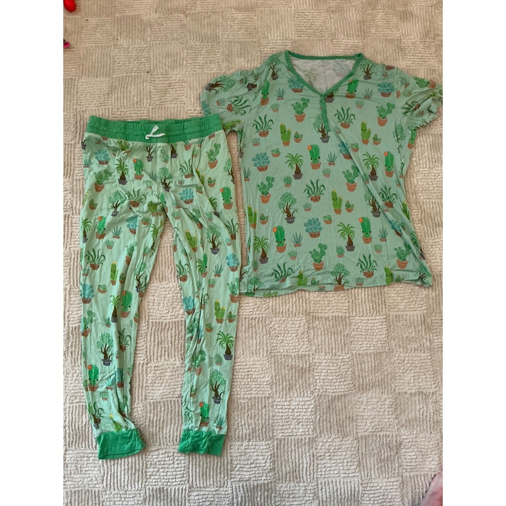 Little sleepies succulent Love pajama set medium